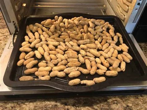 Basic Air Fryer Oven Roasted Peanuts Recipe - Fork To Spoon