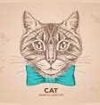 Hipster animal cat hand drawing muzzle of animal Vector Image