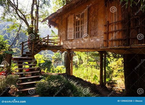 House of Bamboo in the Jungle, Beautiful Landscape, Travel To Southeast ...