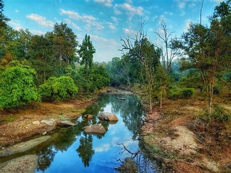 12 Things You Must Know Before Visiting Kanha National Park