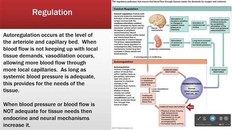 Cardiac Output and Its Regulation - YouTube