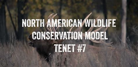 North American Wildlife Conservation Model - Tenet #7 | Rocky Mountain Elk Foundation