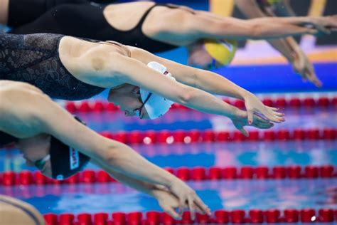 Abu Dhabi to host FINA World Swimming Championships | Time Out Abu Dhabi