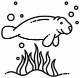 Manatee coloring page  ColouringPages sketch template