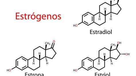 Estrógenos - Mejor con Salud