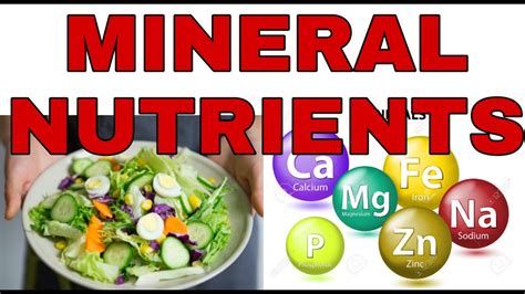 MINERAL_NUTRIENTS - YouTube