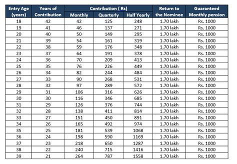 Atal Pension Yojana APY Calculator - Financial Calculators Pro