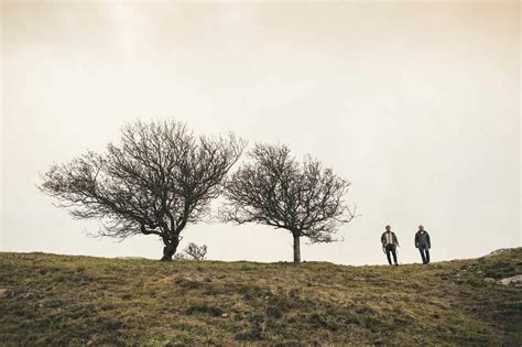 Mature male friends walking against sky during sunset stock photo