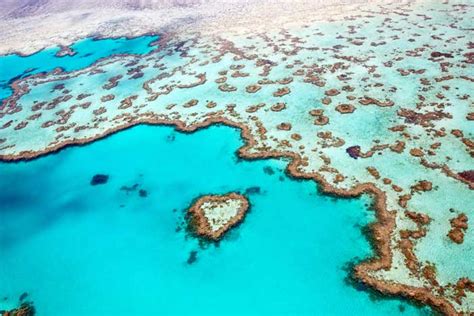 Great Barrier Reef Tours from Cairns & Port Douglas | Fitzroy Island