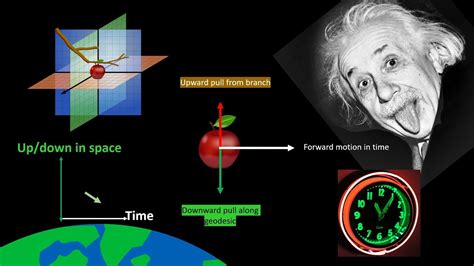 How Time Dilation Causes Gravity, and How Inertia Works - YouTube