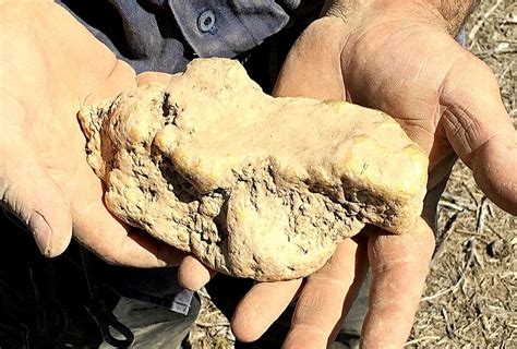 This Australian man just found a massive 4kg gold nugget | MINING.com