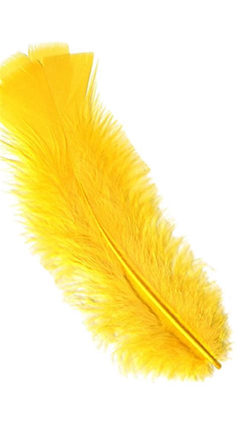 Yellow Feather Meaning: Yellow feathers are often a reminder to be ...