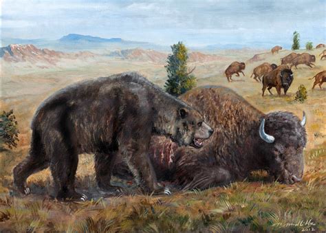 Pleistoce: A prehistoric short-faced bear (Arctodus sinus) approaching a wounded bison. (Peter ...