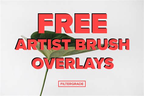 FREE Artist Paint Brush Overlays Pack - FilterGrade