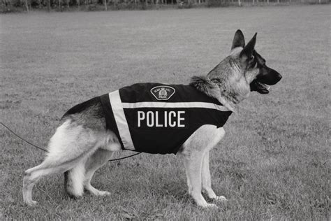 Professional Canine Uniforms From: K9 PRO WEAR | Officer