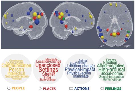 brain locations and semantic factors | Reading technology, Mindfulness ...