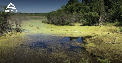 Best hikes and trails in Volo Bog State Natural Area | AllTrails