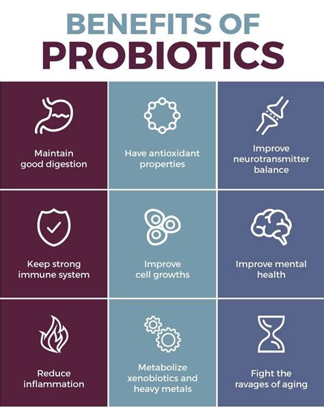 What Are The Health Benefits Of Probiotics - Enjoy Natural Health ...