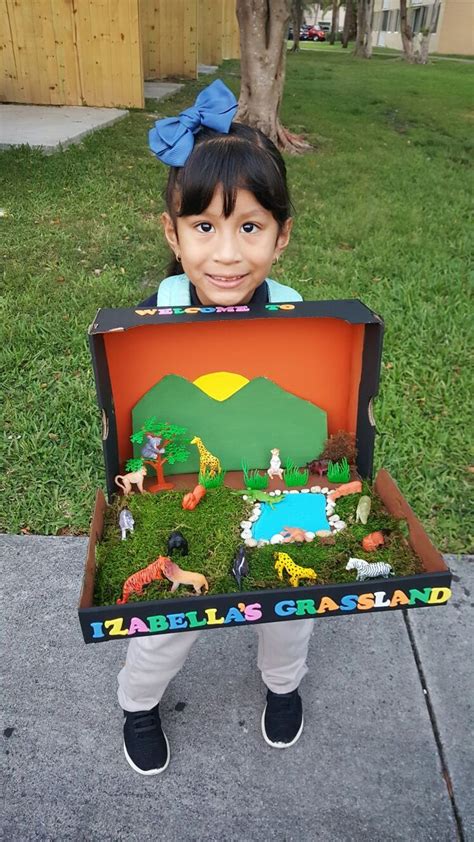 Grassland Diorama Kindergarten Projects, Science Projects For Kids ...