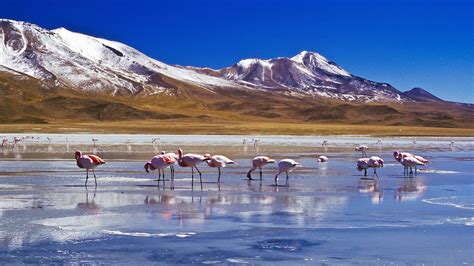 Salar De Uyuni Wallpapers - Wallpaper Cave