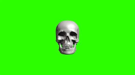 Rotating Skull #1 / Green Screen - Chroma Key - YouTube