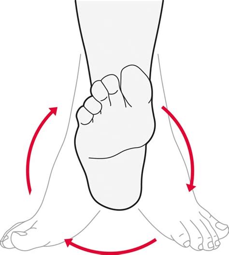 Exercises for the toes, feet and ankles | Versus Arthritis