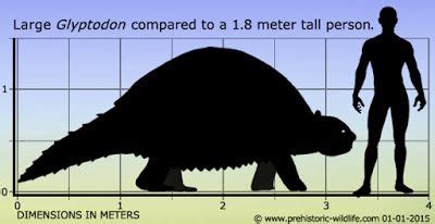 Dinosaur of the Week: Glyptodon size comparison | Prehistoric animals ...