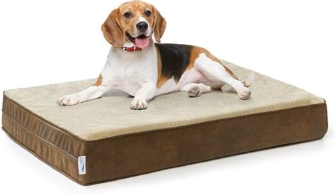 Memory Foam Dog Beds | The 10 Comfiest Memory Foam Dog Beds