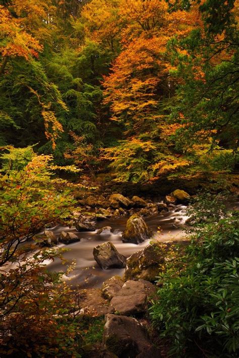 13 BEST Things to do in Scotland in Autumn (2023 Guide)