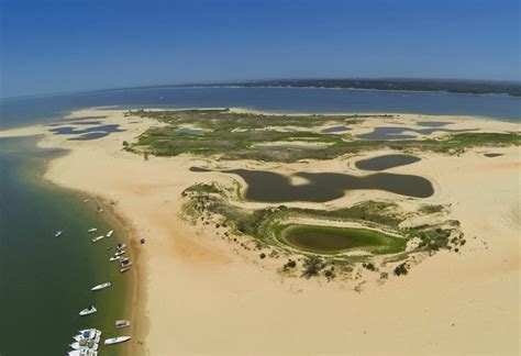 What To Do-Lake Texoma | Striper Fishing Guide-Marty Zamora