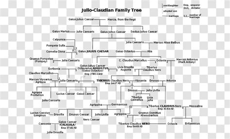 Principate Julio-Claudian Dynasty Family Tree Albero Genealogico Giulio-claudio - Cartoon ...