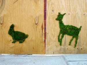 Moss Graffiti – A Living Art That Brings Life to the City | Gardening on Cloud 9