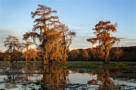 The Bayou at Sunset - danandholly.com