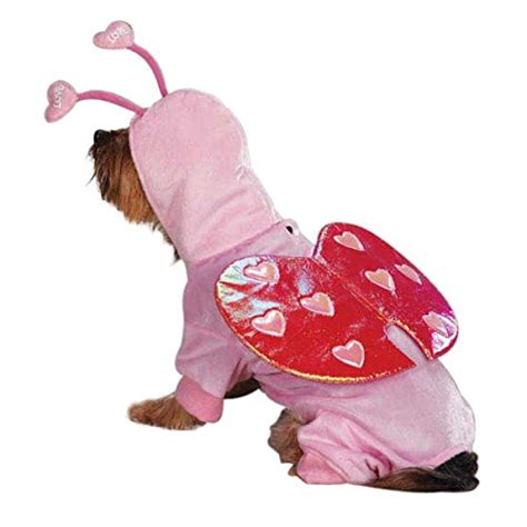 Cutest Valentine Gifts for Dogs | WebNuggetz.com