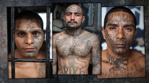 Mara Salvatrucha (MS-13) sind die Gangsterbosse von El Salvador. Selbst ...