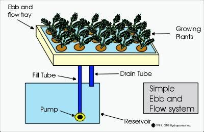 How to Build Hydroponics | Garden Guides