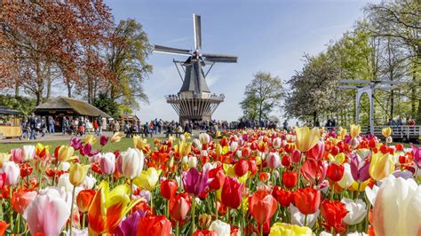 Keukenhof Garden in Holland – Parade of Flowers 2024: tickets, opening ...