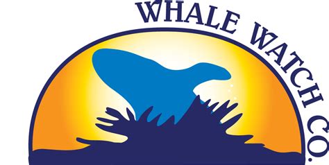 Bar Harbor Whale Watch Co. | Wildlife & Sightseeing Cruises