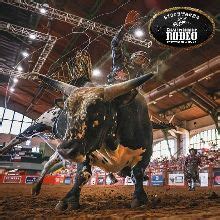 Stockyards Championship Rodeo schedule, dates, events, and tickets - AXS