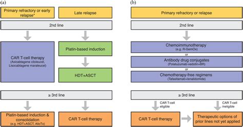 Therapeutic algorithm for patients with R/R DLBCL. (a) For... | Download Scientific Diagram