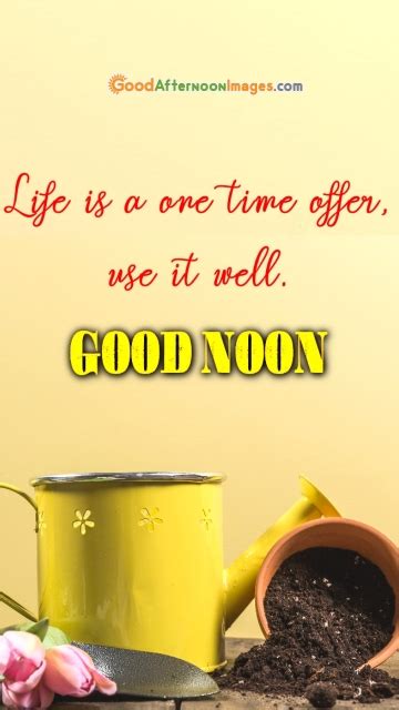 Life is One Time Offer, Use it Well. Good Noon @ Goodafternoonimages.com