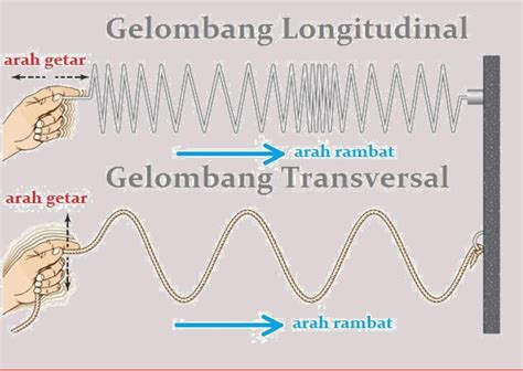 Perbedaan Gelombang Transversal dan Longitudinal dan Contohnya