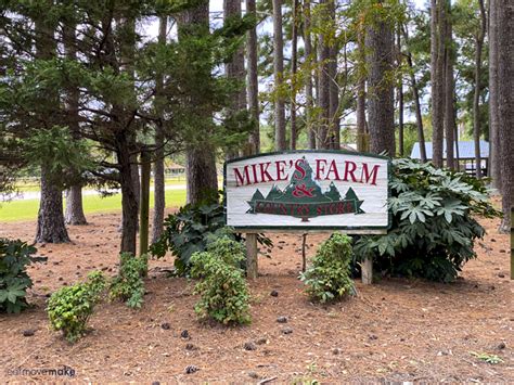 Mike's Farm - The Ultimate Place for Festive Fall Family-Friendly Fun