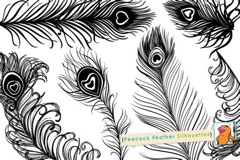 Peacock Feather Silhouettes ~ Illustrations on Creative Market