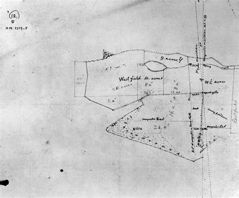 Jefferson Shadwell C1794 Nsurvey by Thomas Jefferson of His Fields at ...