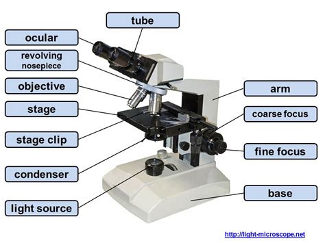 Microscopy-Pictures: Parts and components of a light microscope