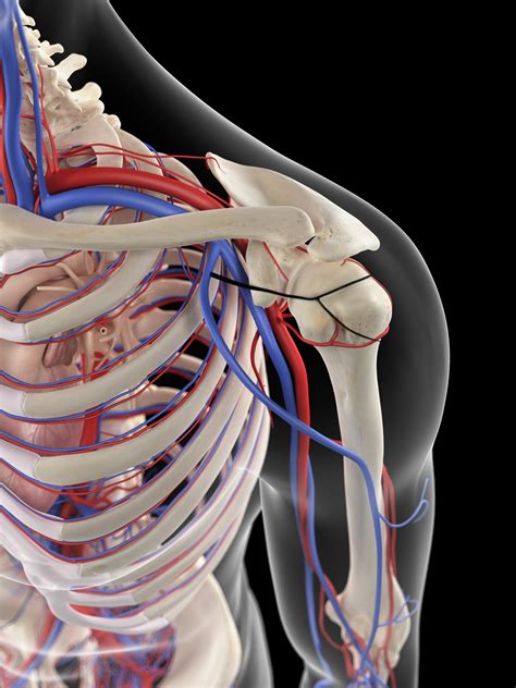 Thoracic Outlet Syndrome: Diagnosis, Clinical Management