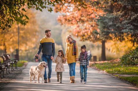 Full length of happy family holding hands while walking their dog in ...