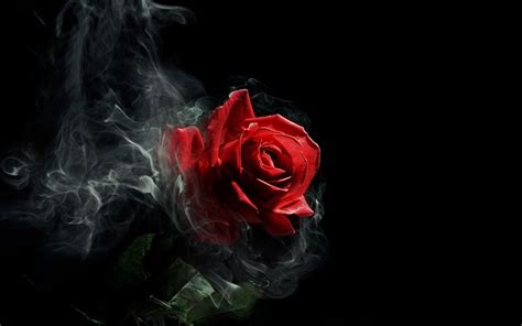 gothic roses | Smoke Rose Red Black Gothic Nature Dark hd wallpaper #464763 | Gothic Roses ...