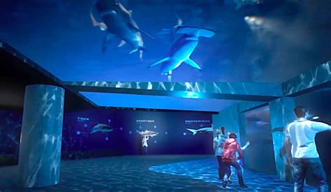 In downtown Atlanta, Georgia Aquarium’s $100 million shark exhibit ...